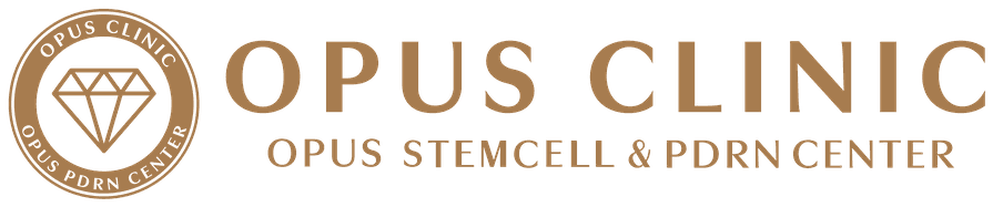 opus center logo2